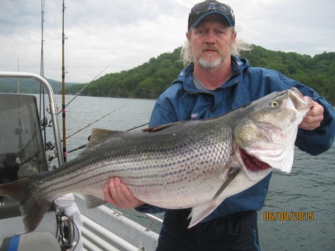 Nice Striped Bass